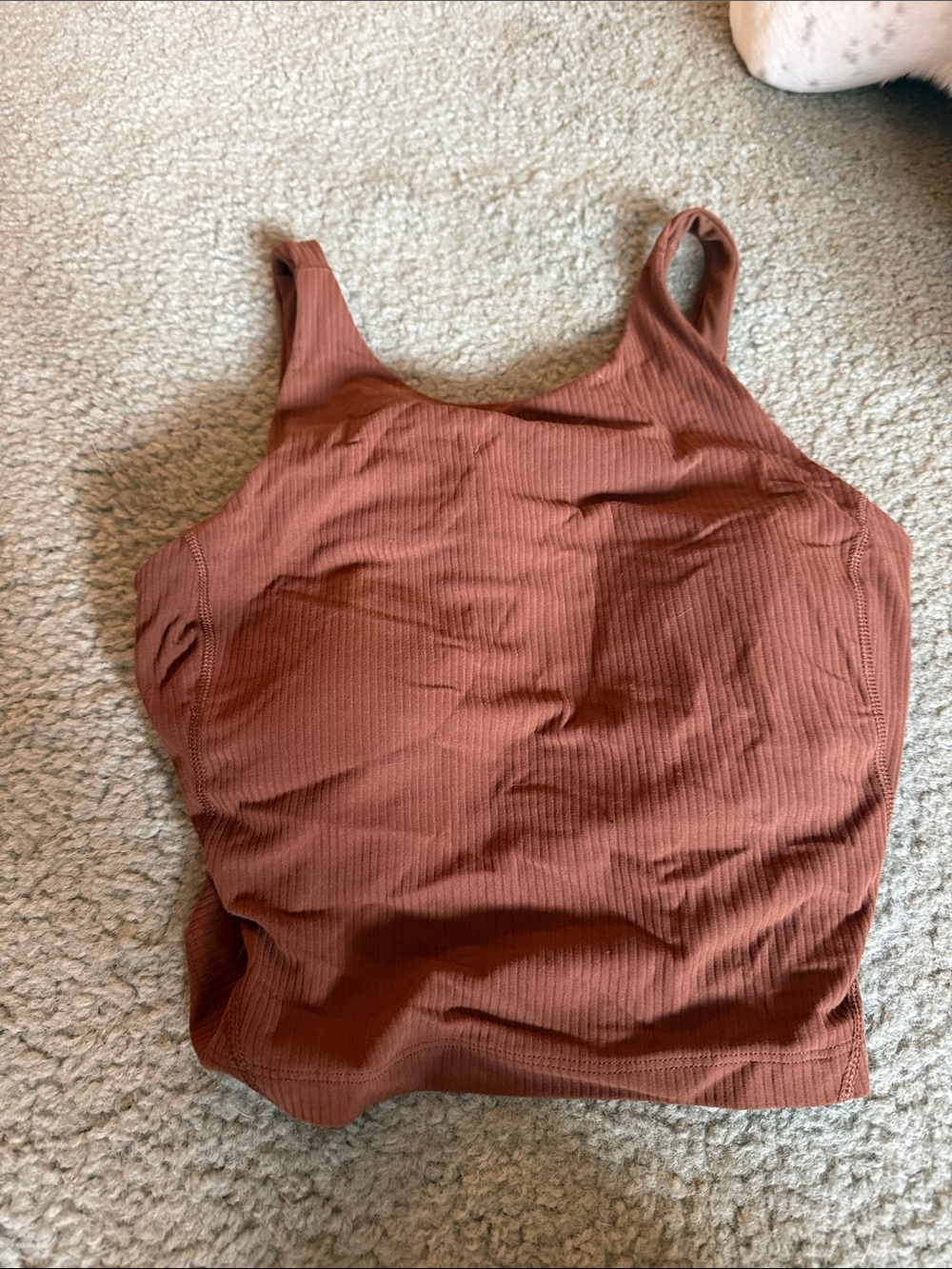 Ribbed Rust Tank Crop Top - Women